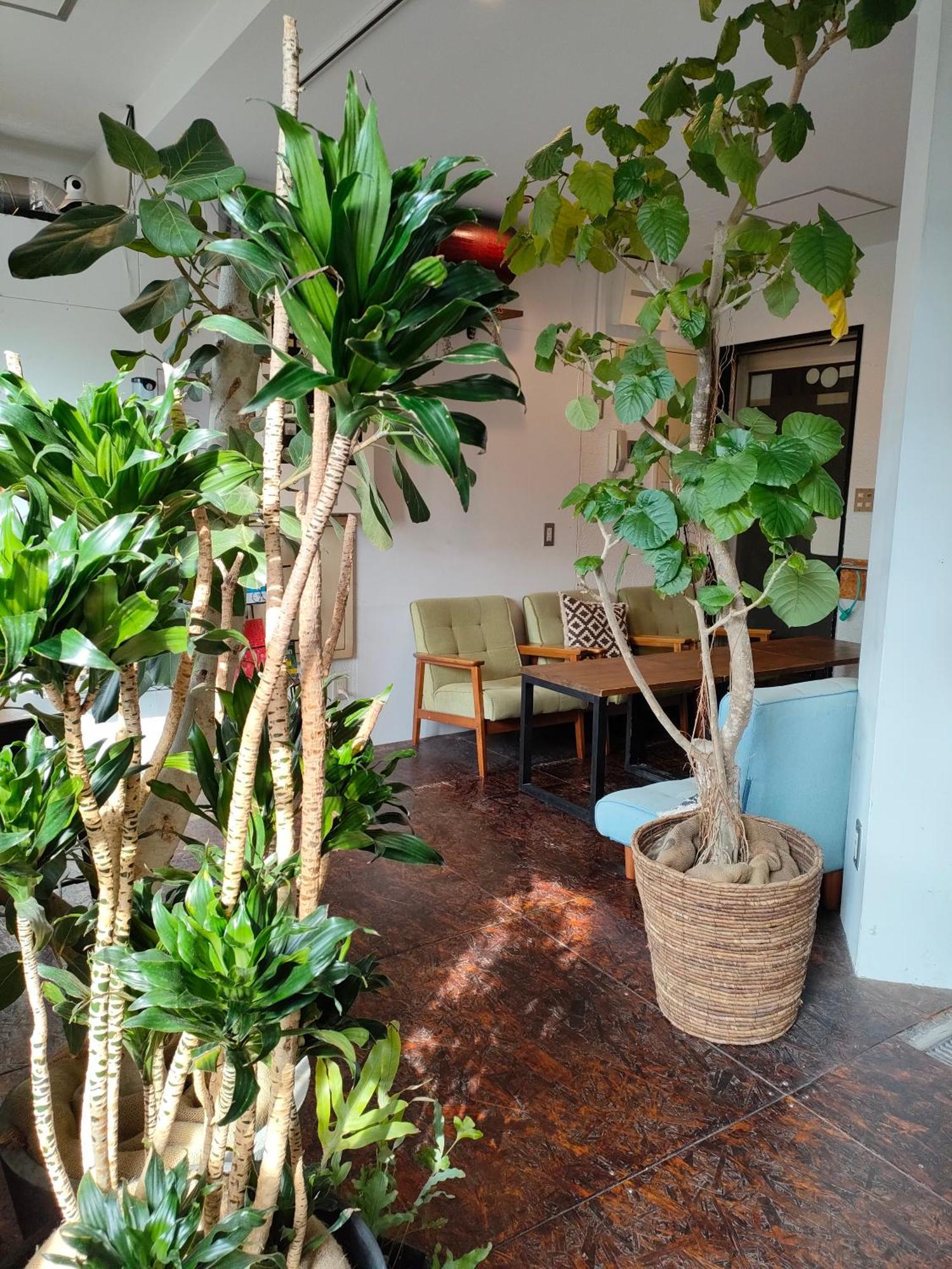 Tokyo Guest House Ouji Music Lounge Dış mekan fotoğraf